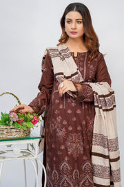 Luxury Dhanak Winter '24 - BS Pret  BSLD06